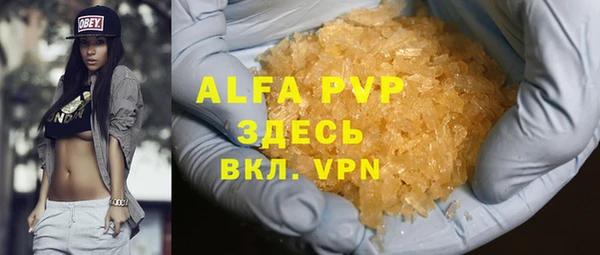 индика Балахна