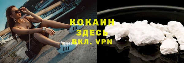 индика Балахна