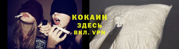 индика Балахна