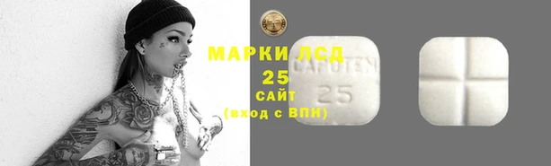 индика Балахна