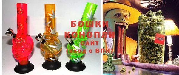 индика Балахна