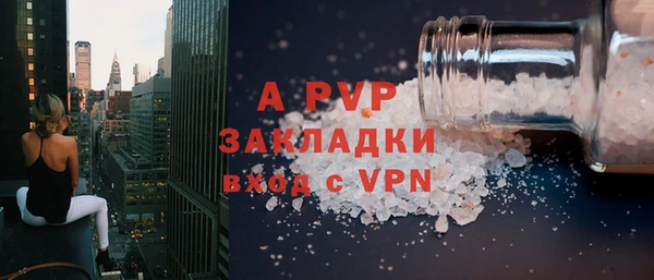индика Балахна