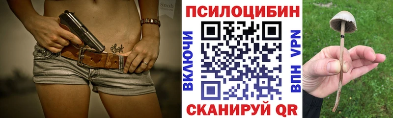 OMG маркетплейс  где найти наркотики  Шатура  Галлюциногенные грибы Psilocybe 