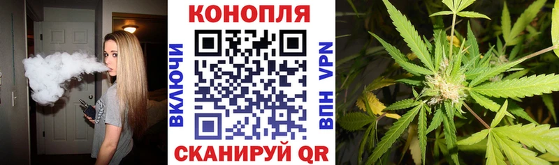где можно купить наркотик  Шатура  Шишки марихуана индика 